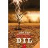 Derza Dil